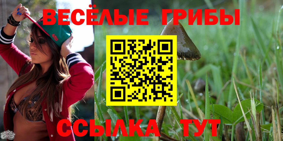 Псилоцибиновые грибы мицелий Муром