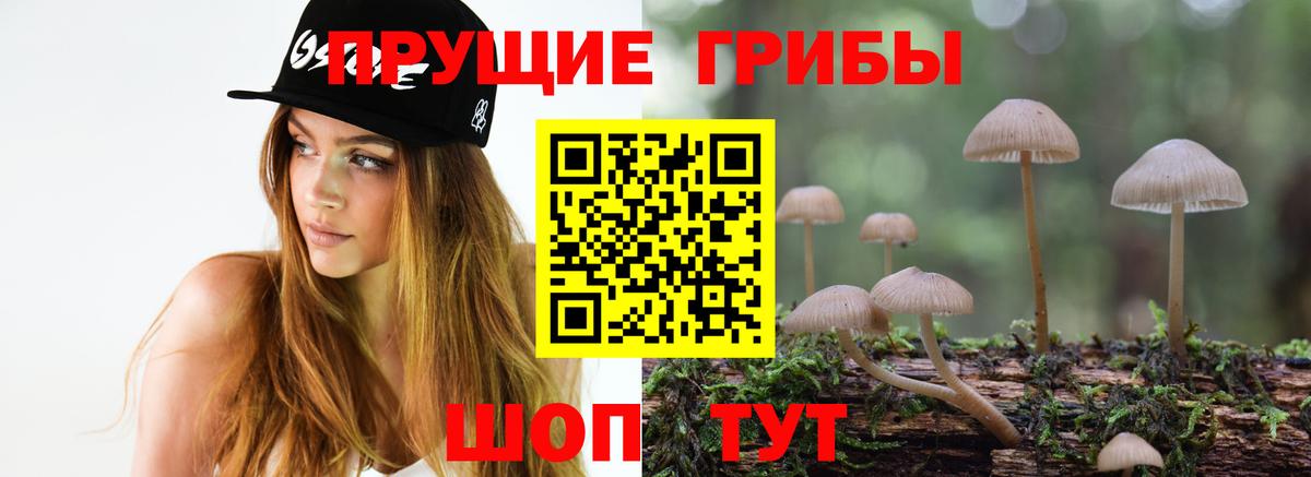 Галлюциногенные грибы Psilocybe  Псилоцибиновые грибы GOLDEN TEACHER  Муром  где купить   Вход с VPN 